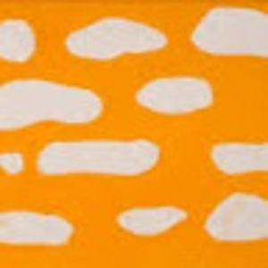 Meet your Posher, Zooey